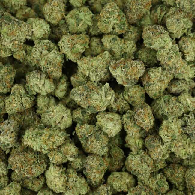 pp puff nn