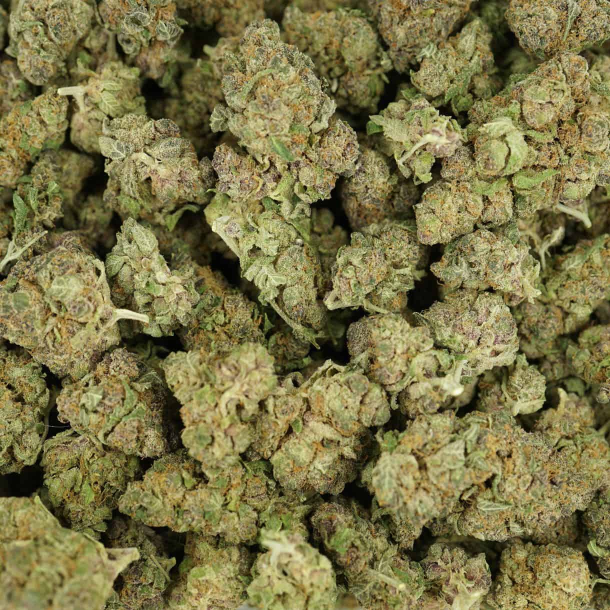 28gr - RAINBOW RUNTZ - BALANCED HYBRID - (AAA) - Image 3