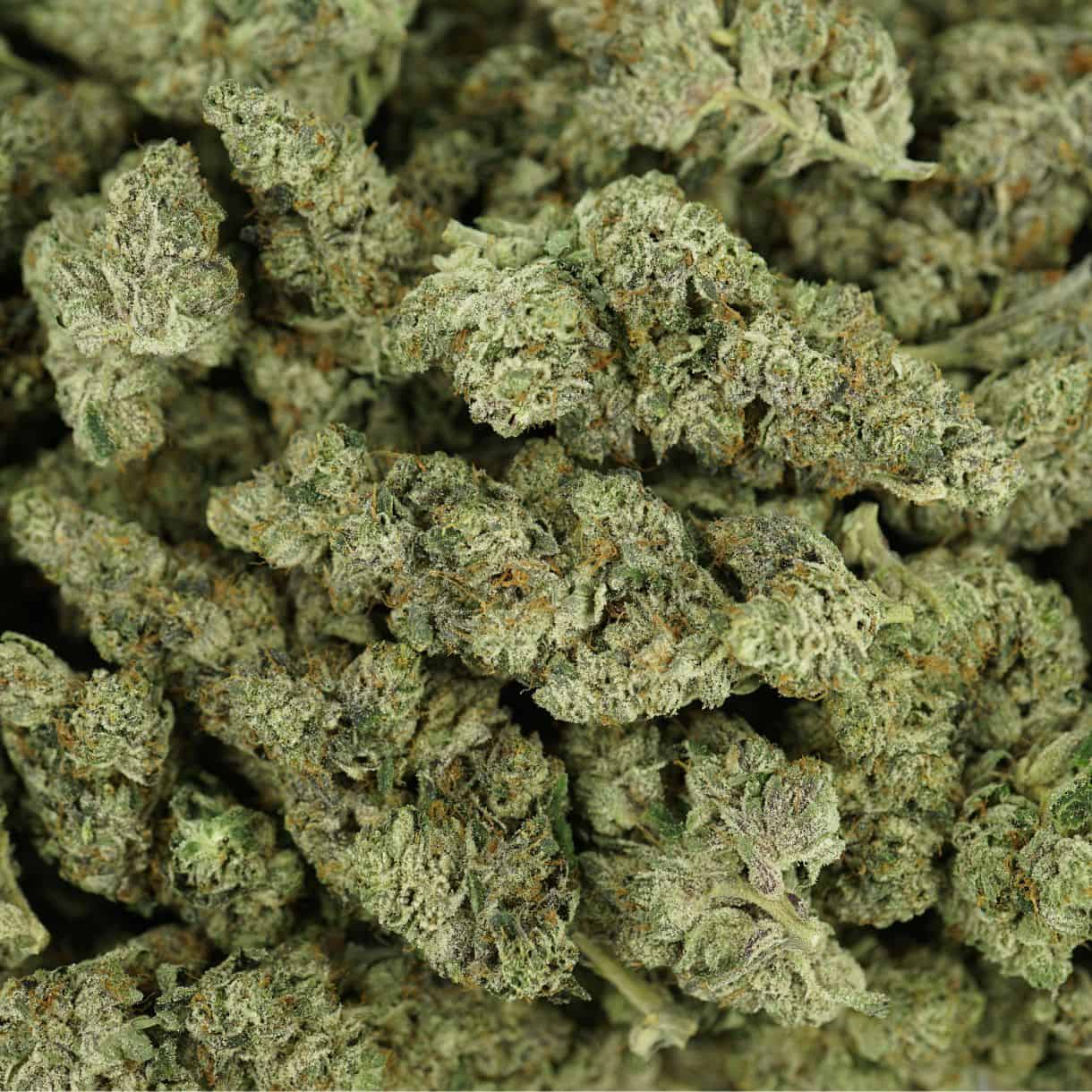 7gr - ROJI OG - BALANCED HYBRID - (AAAA) - Image 3