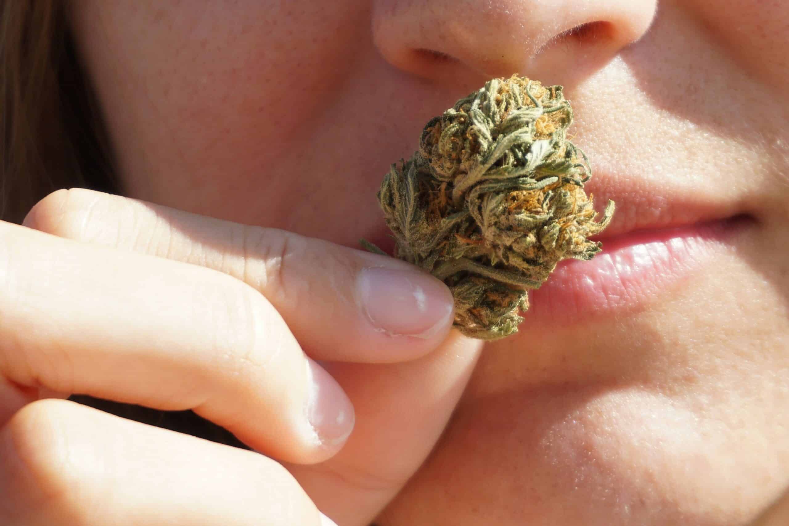 moon rock weed