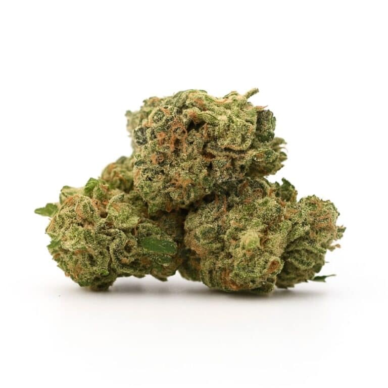 High-resolution cannabis buds on a clean white background, showing dense trichomes and natural green and orange tones.