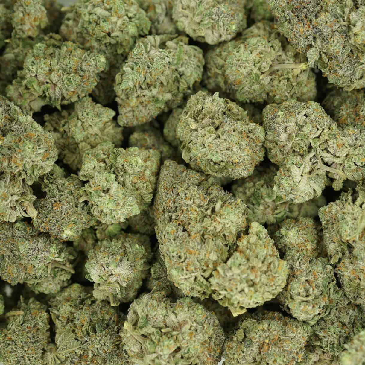 28gr - FROSTED GELATO BALANCED HYBRID (AAA) - Image 3