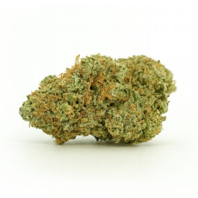 pp haze