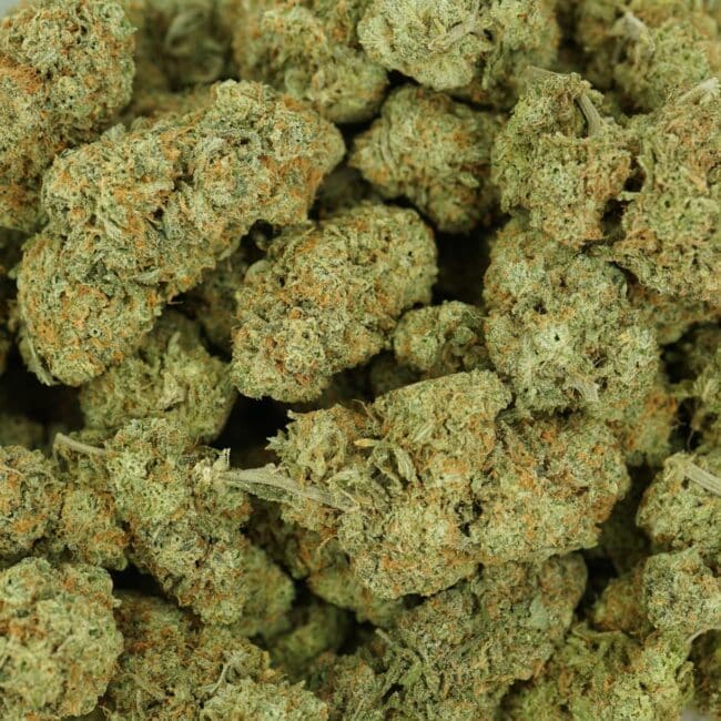 pp haze nn