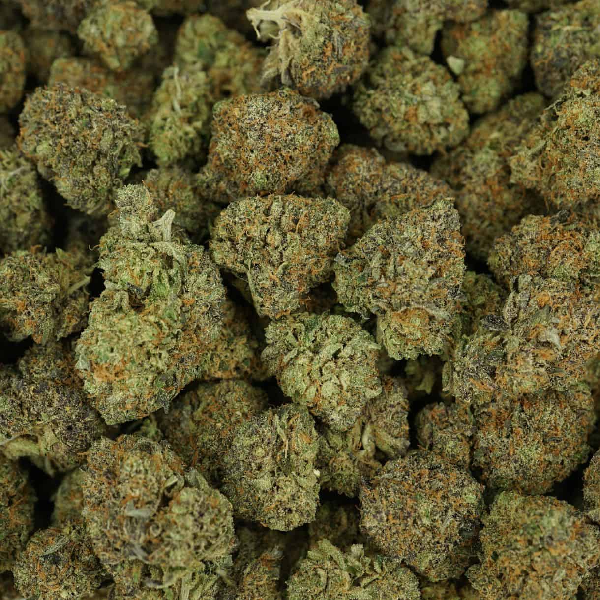 28gr - PINK TUNA - INDICA - (AAA) - Image 3