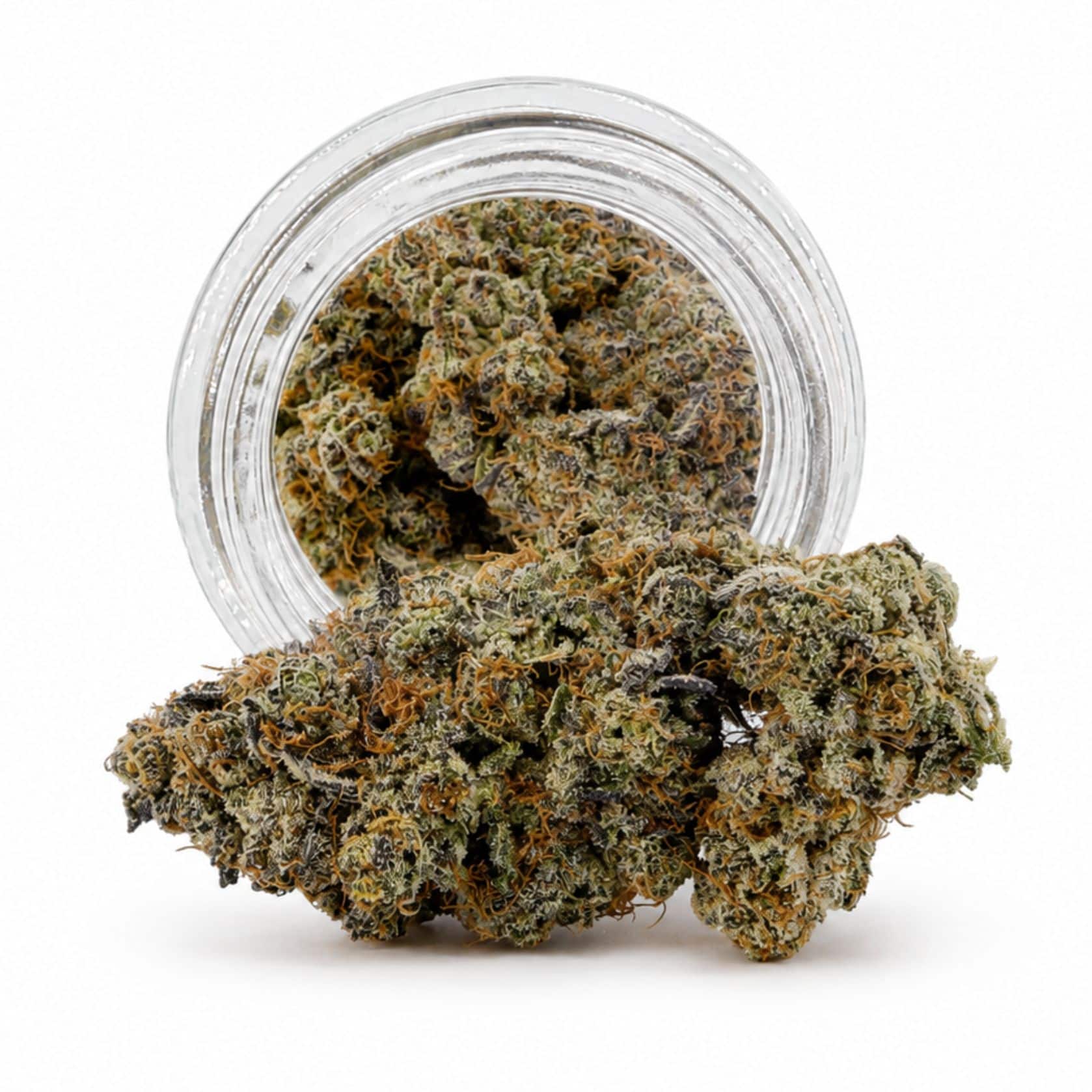 Source photograph: 7gr – VIOLET FOG – INDICA –