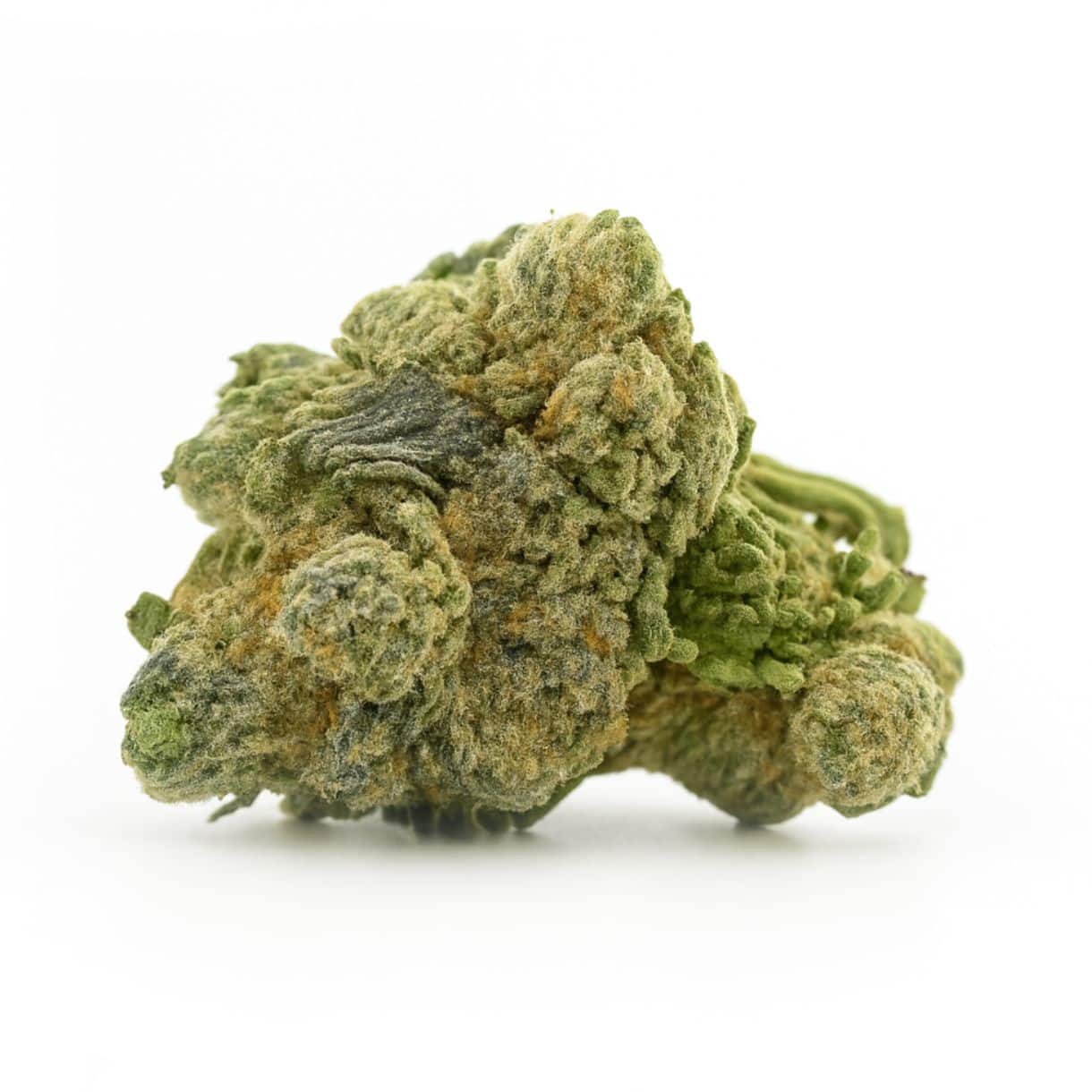 28gr - JET FUEL GELATO - BALANCED HYBRID - (AAA)