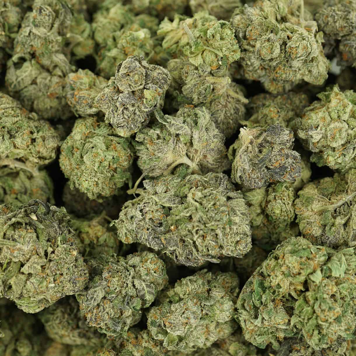 28gr - JET FUEL GELATO - BALANCED HYBRID - (AAA) - Image 3
