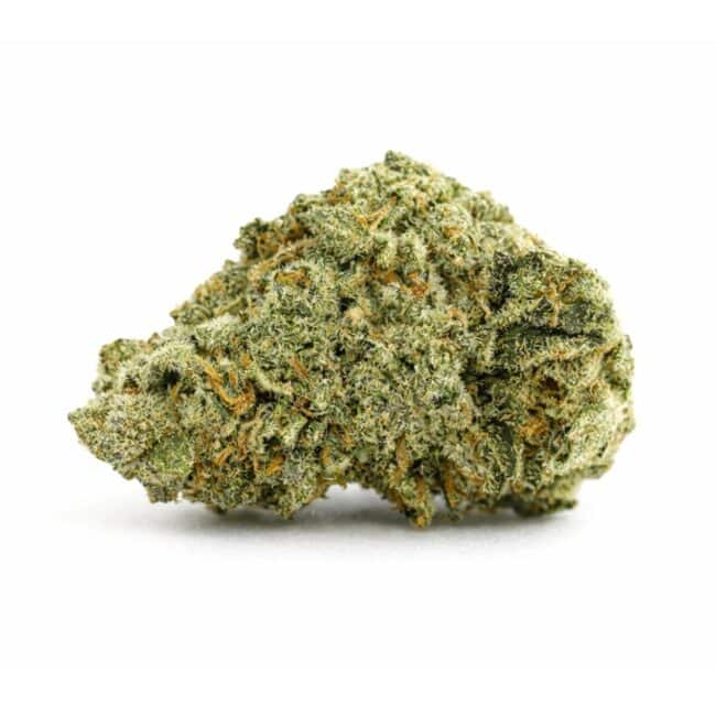 pp gmo mjj