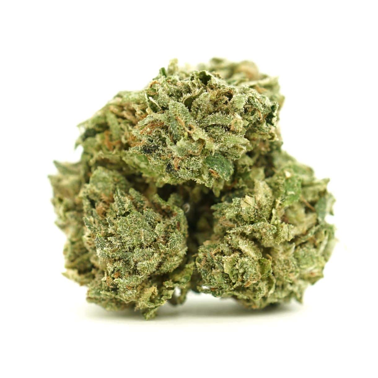 Dense cannabis flowers with frosty trichomes on a crisp white background