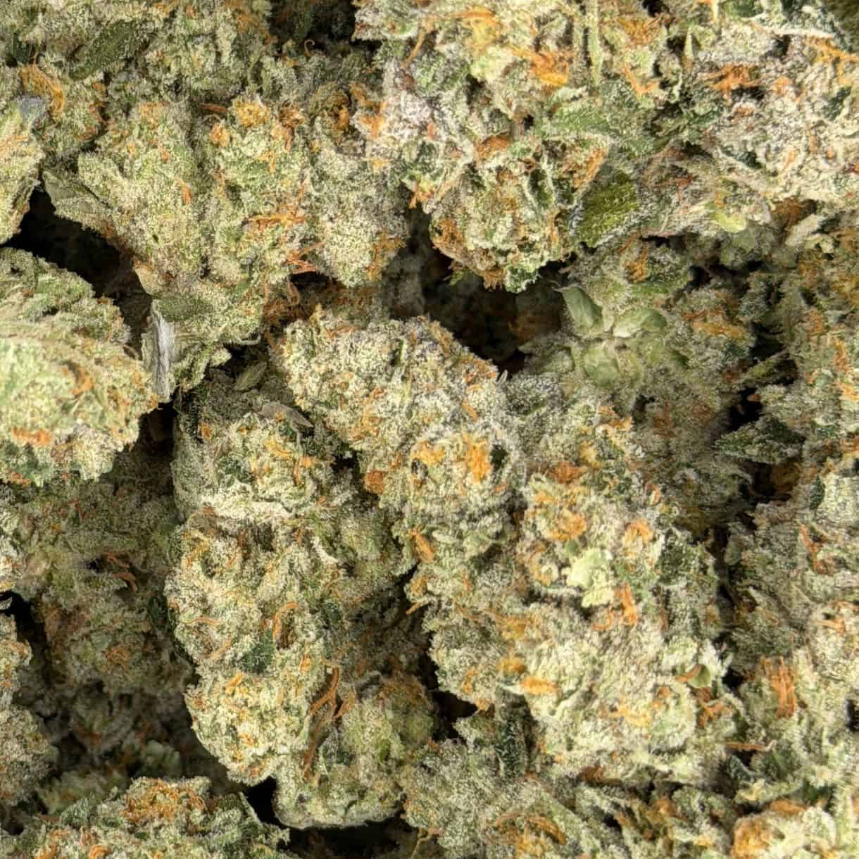 close-up macro of cannabis bud showing dense trichomes, green tones, and orange pistils