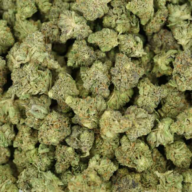 pp bubba kush full