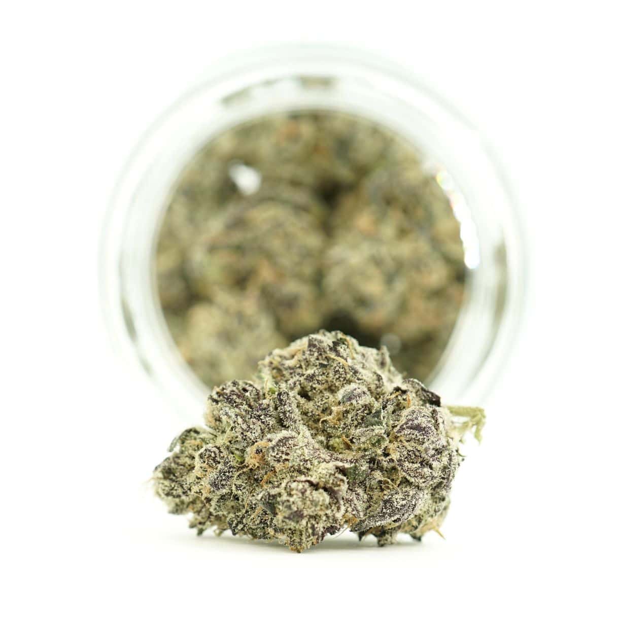 Source photograph: 7gr – DOPAMINE – BALANCED HYBRID –