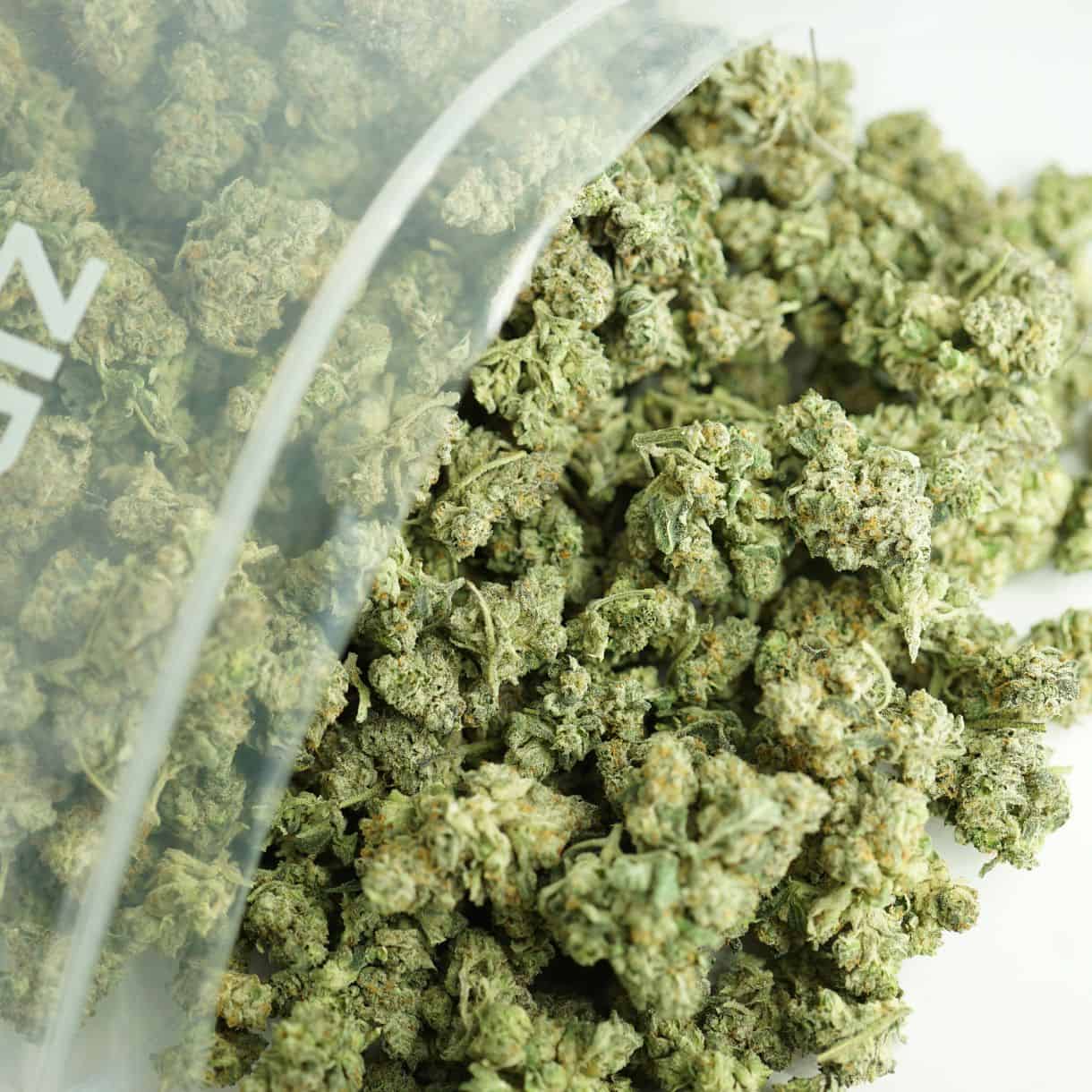 frosted gelato bulk