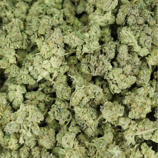 pp fros gel full