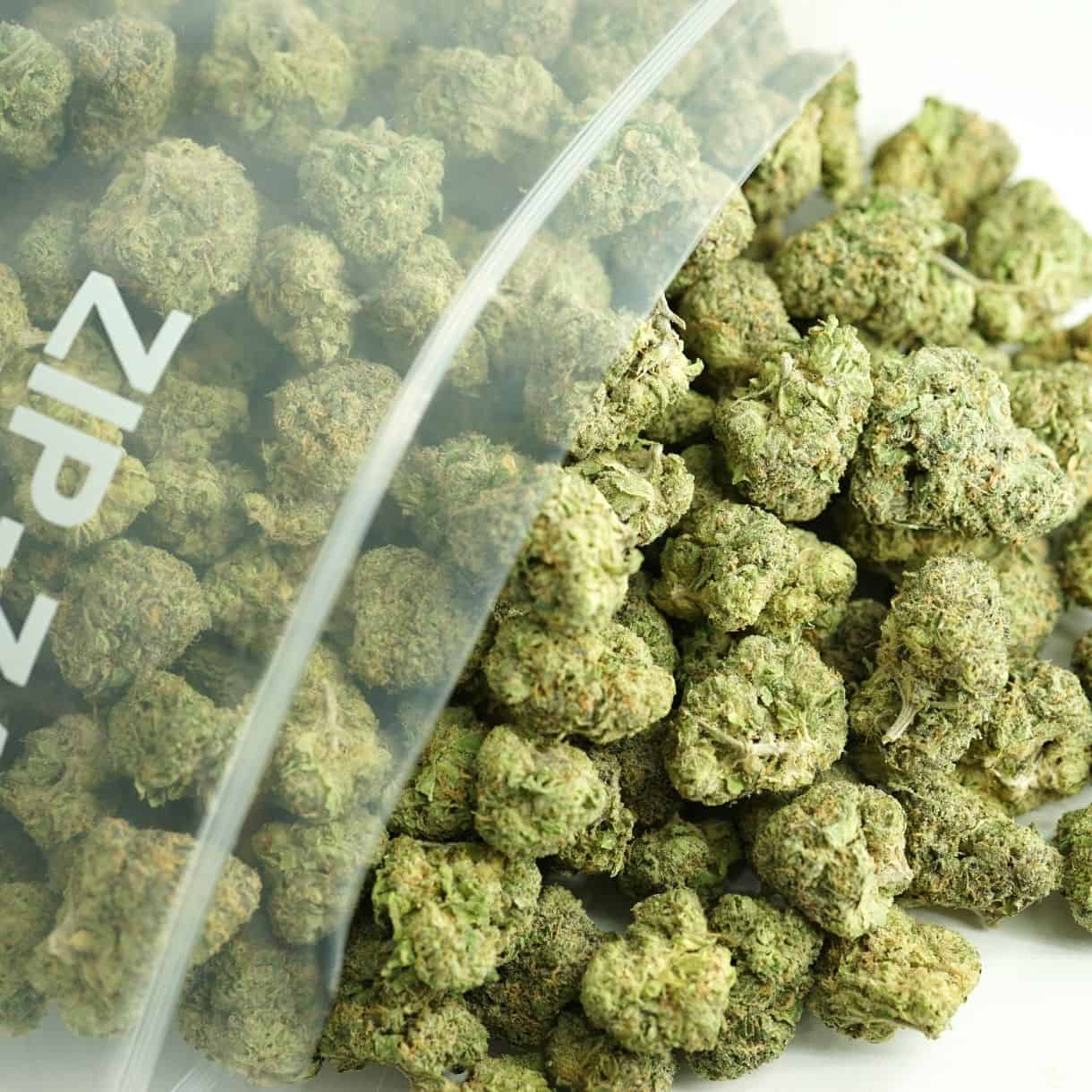 Close-up image of cannabis buds spilling out of a clear ZIP-ZAG plastic bag onto a white surface, showing dense green nugs with visible trichomes and orange hairs.