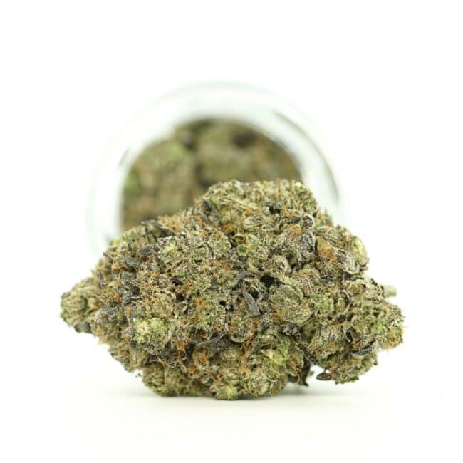 pp purp ch