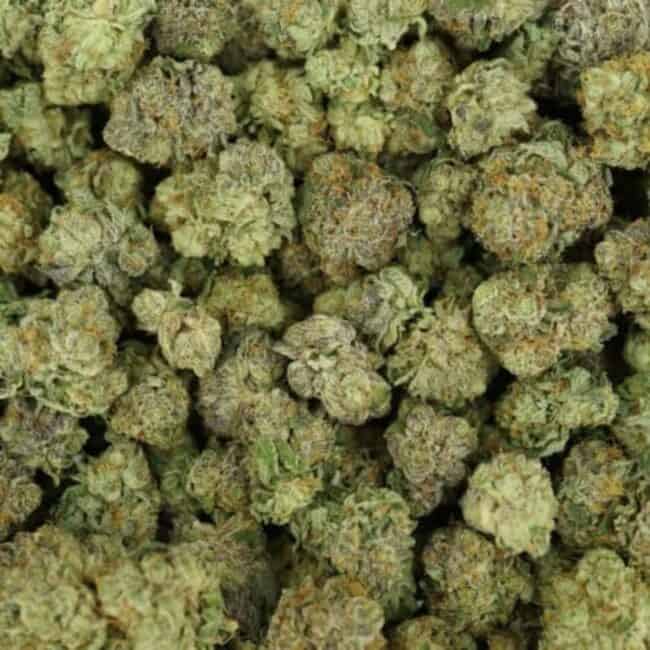 pp purp kush