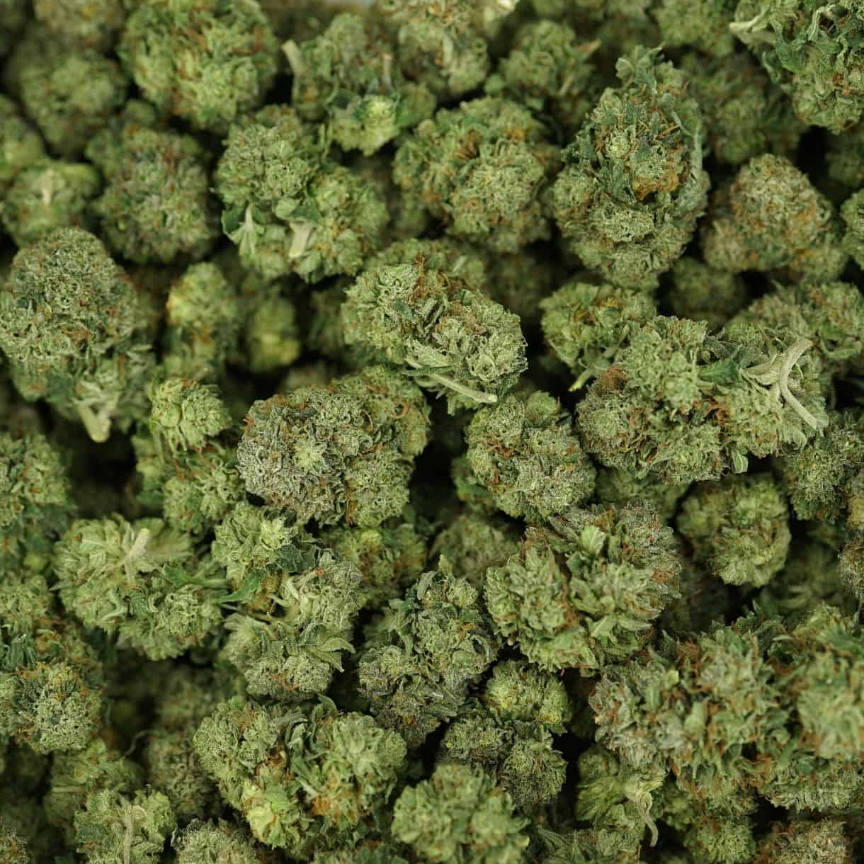 28gr - RAINBOW COOKIES (SMALLS) - BALANCED HYBRID - (AAA) - Image 3