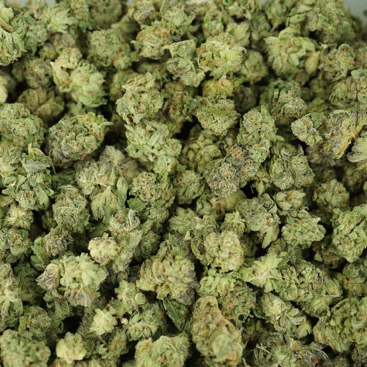 28gr - SUDZ (SMALLS) - BALANCED HYBRID - (AAA) - Image 3