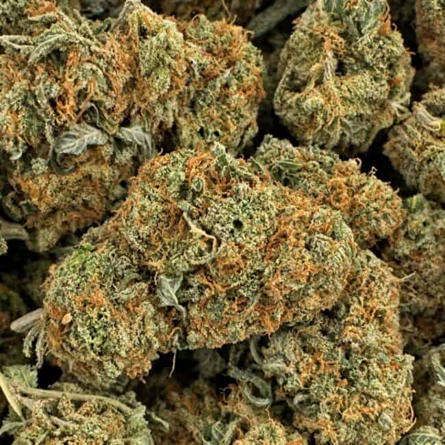 pp super silver haze 2