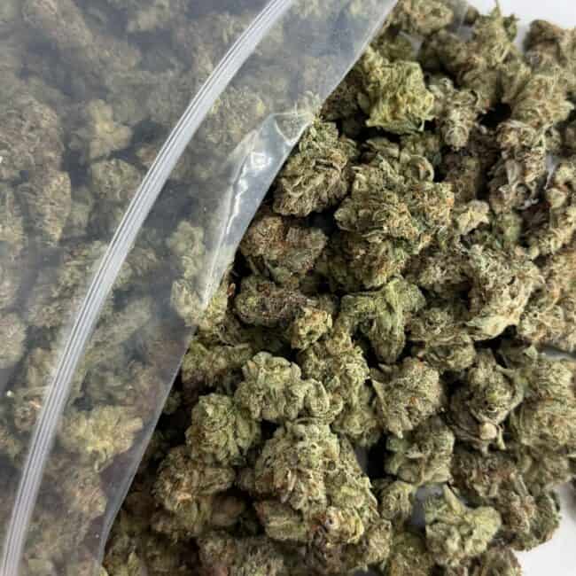 PP island pink kush smalls bulk