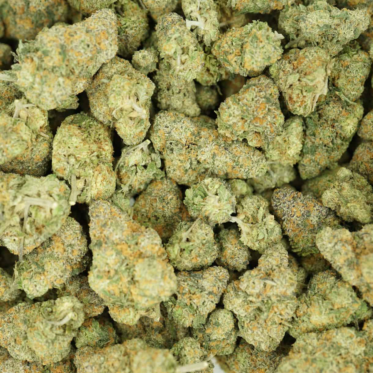 28gr - APPLE FRITTER - BALANCED HYBRID - (AAA) - Image 3