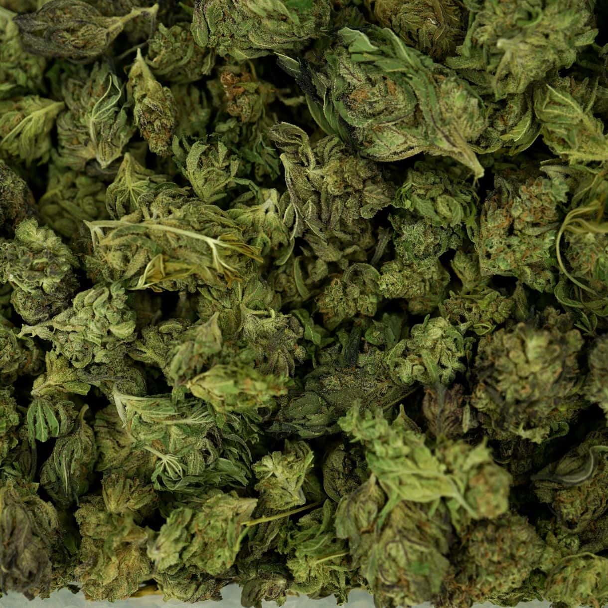 28gr - GREASE MONKEY (GREEN HOUSE) - INDICA - (AA) - Image 3