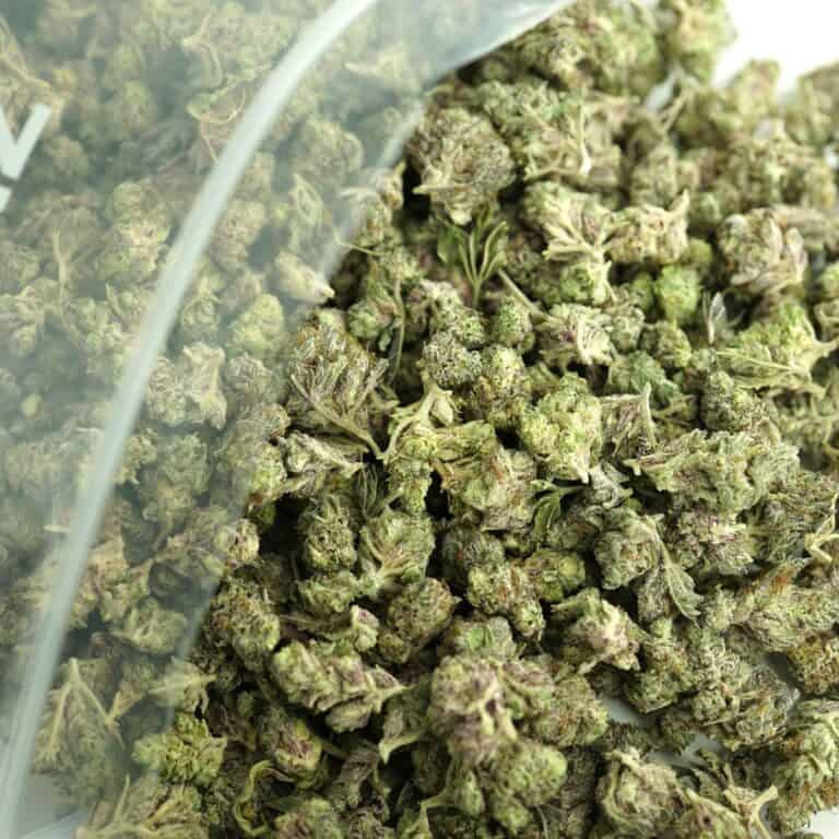 Close-up image of cannabis buds spilling out of a clear ZIP-ZAG plastic bag onto a white surface, showing dense green nugs with visible trichomes and orange hairs.