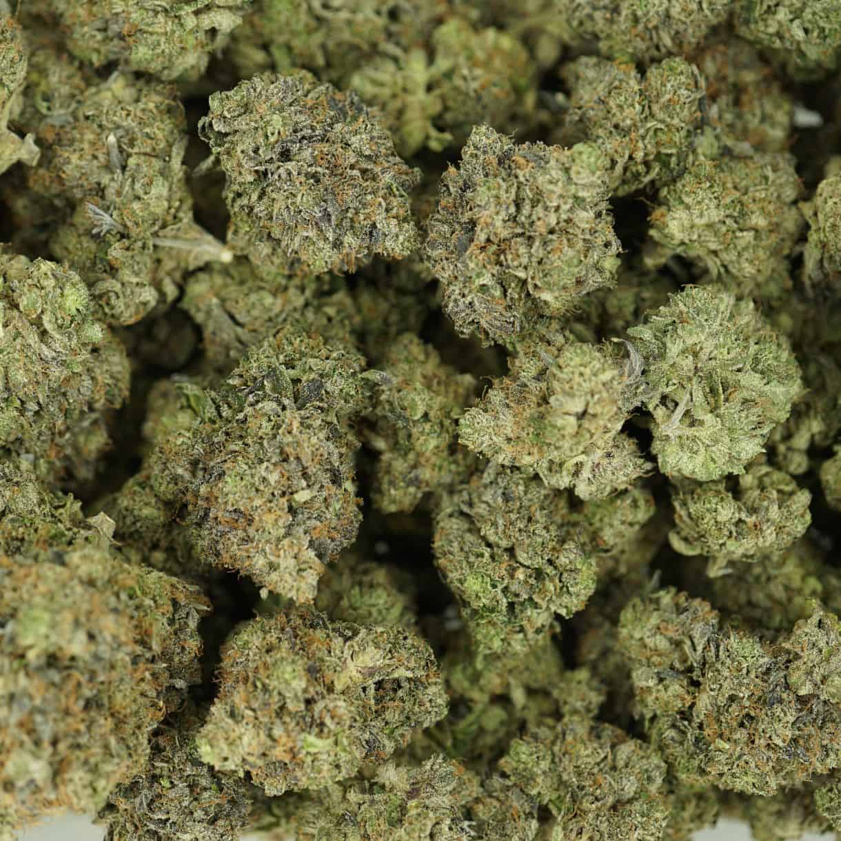 top view of death bubba cannabis buds with dense structure, frosty trichomes, and light green coloration