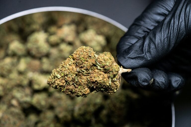 cannabis flower