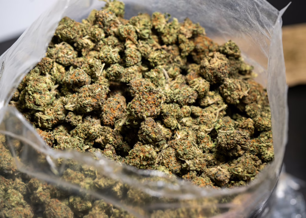 marijuana flower