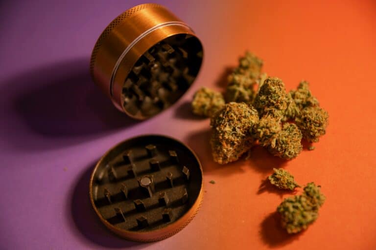 Cannabis buds with open grinder on a two-tone purple and orange background, styled in a clean, high-contrast product composition.