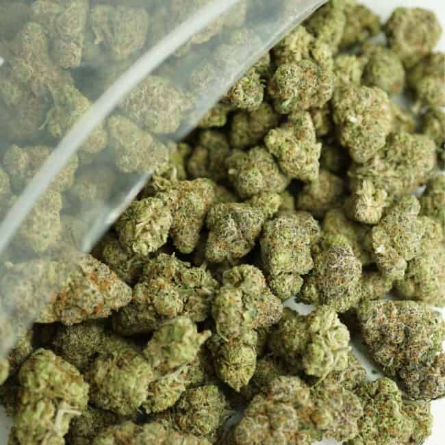 pp candy kush bulk