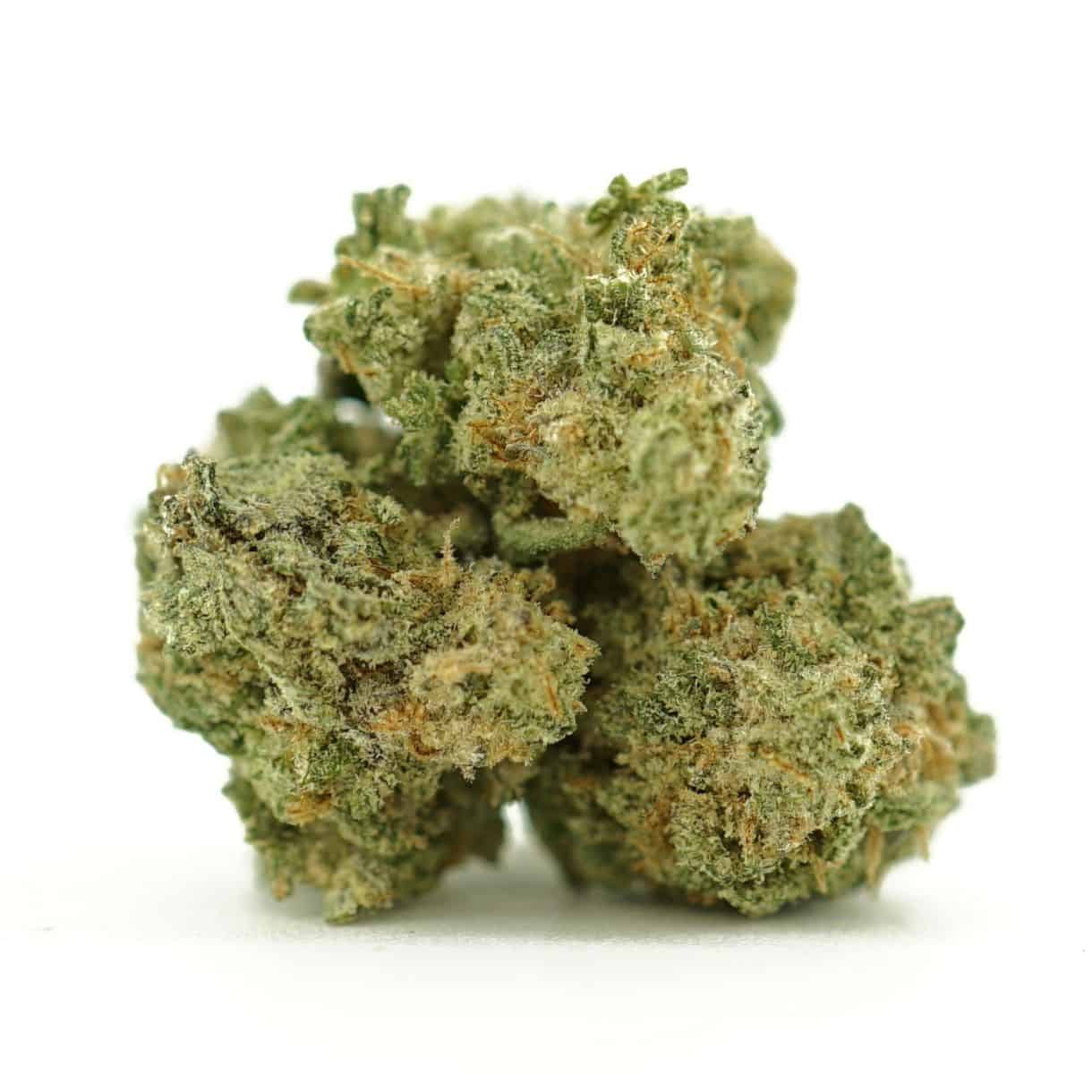 Au premier plan, des fleurs de « Dense Mac Donuts » recouvertes de trichomes givrés ; un bocal en verre légèrement flou sur un fond blanc éclatant