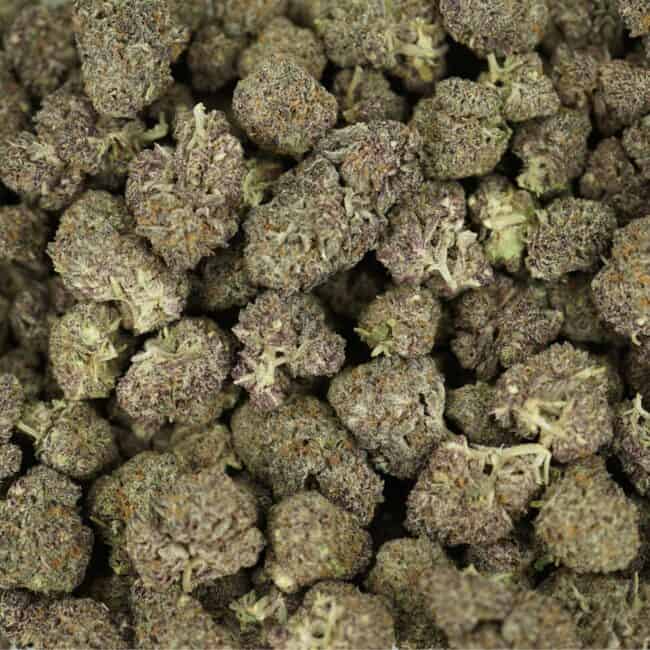 pp purple space cookies full