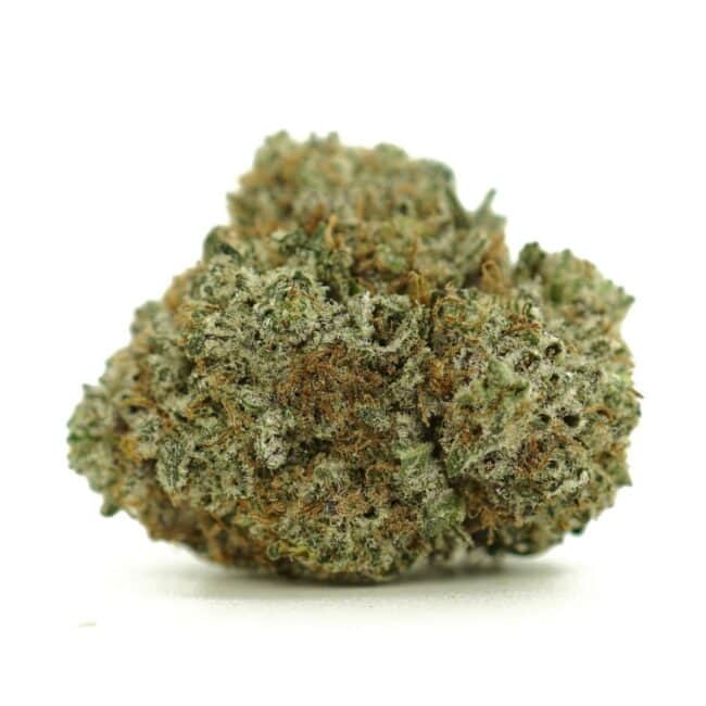 ppalien kush main