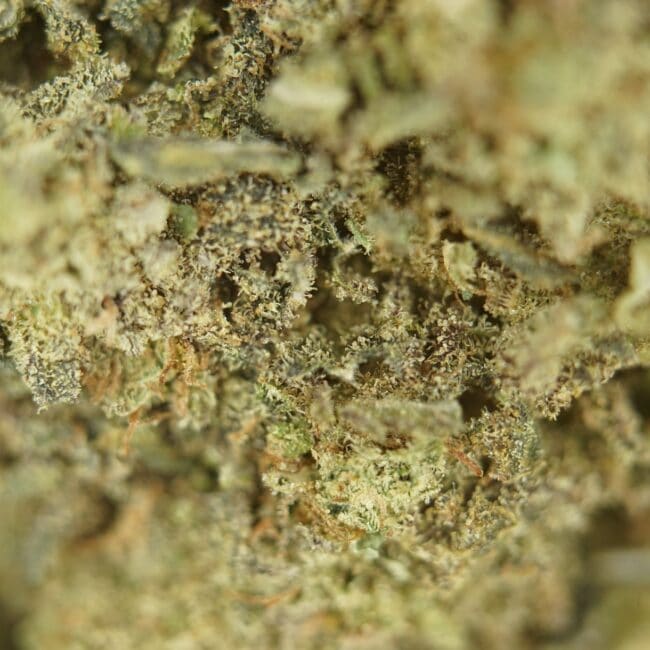 pp BERRY HAZE 2
