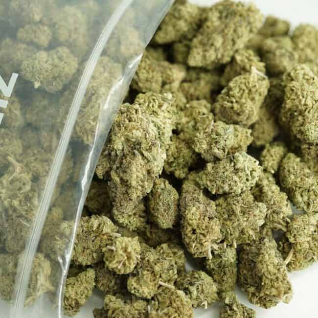 pp BERRY HAZE BULK