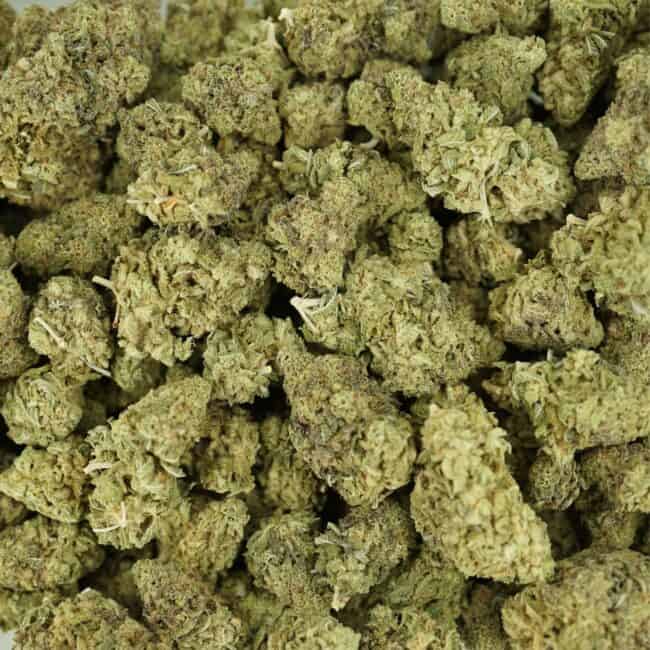 pp BERRY HAZE FULL