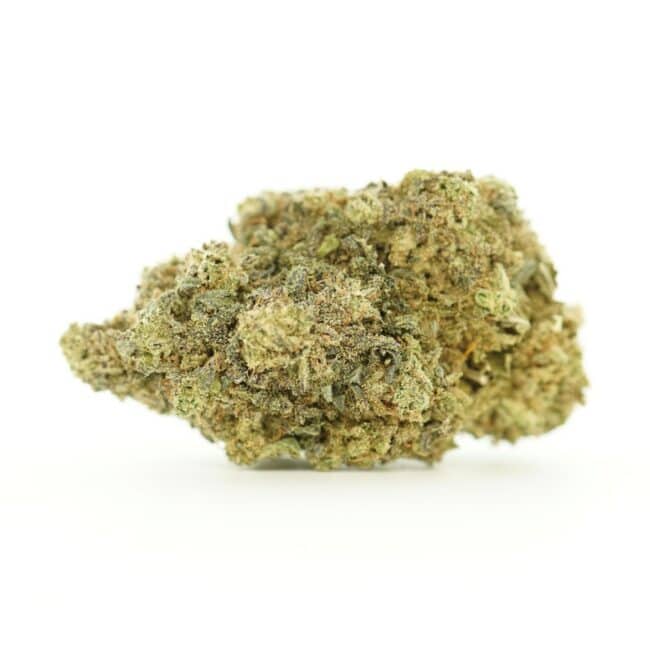 pp BERRY HAZE MAIN