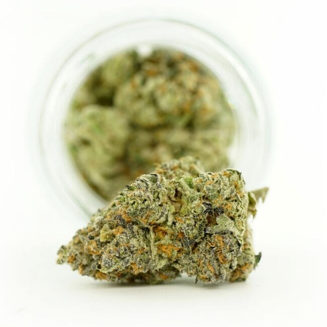 Dense cannabis flower with frosty trichomes in foreground, glass jar softly blurred on a crisp white background