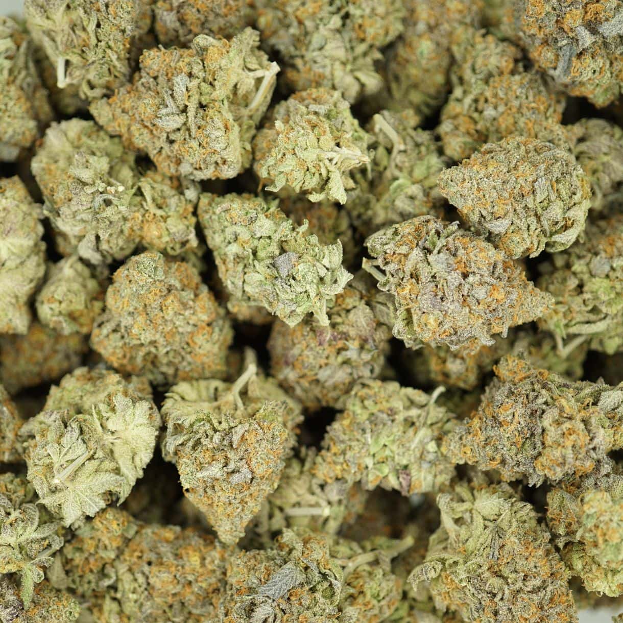 7gr - DUTCH TREAT - INDICA - (AAAA) - Image 3