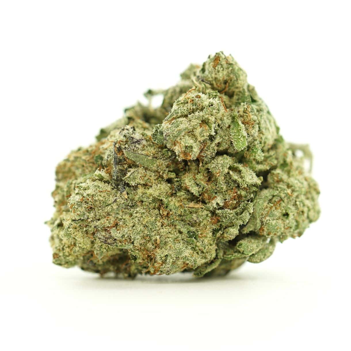 latinum girl scout cookies close-up image of cannabis bud with frosty trichomes on a crisp white background