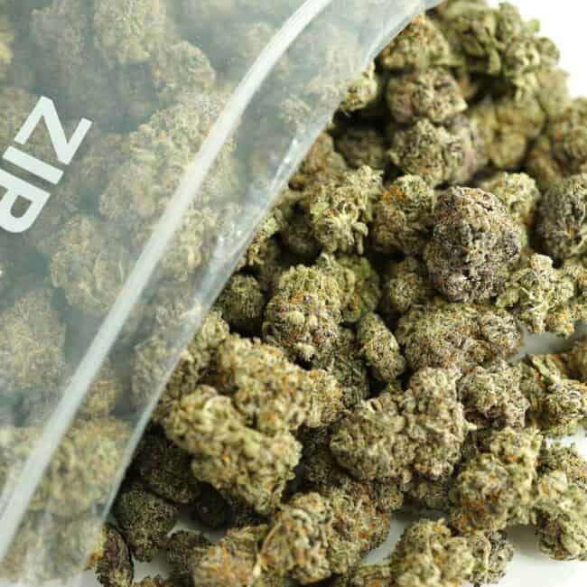 pp purp truff bulk