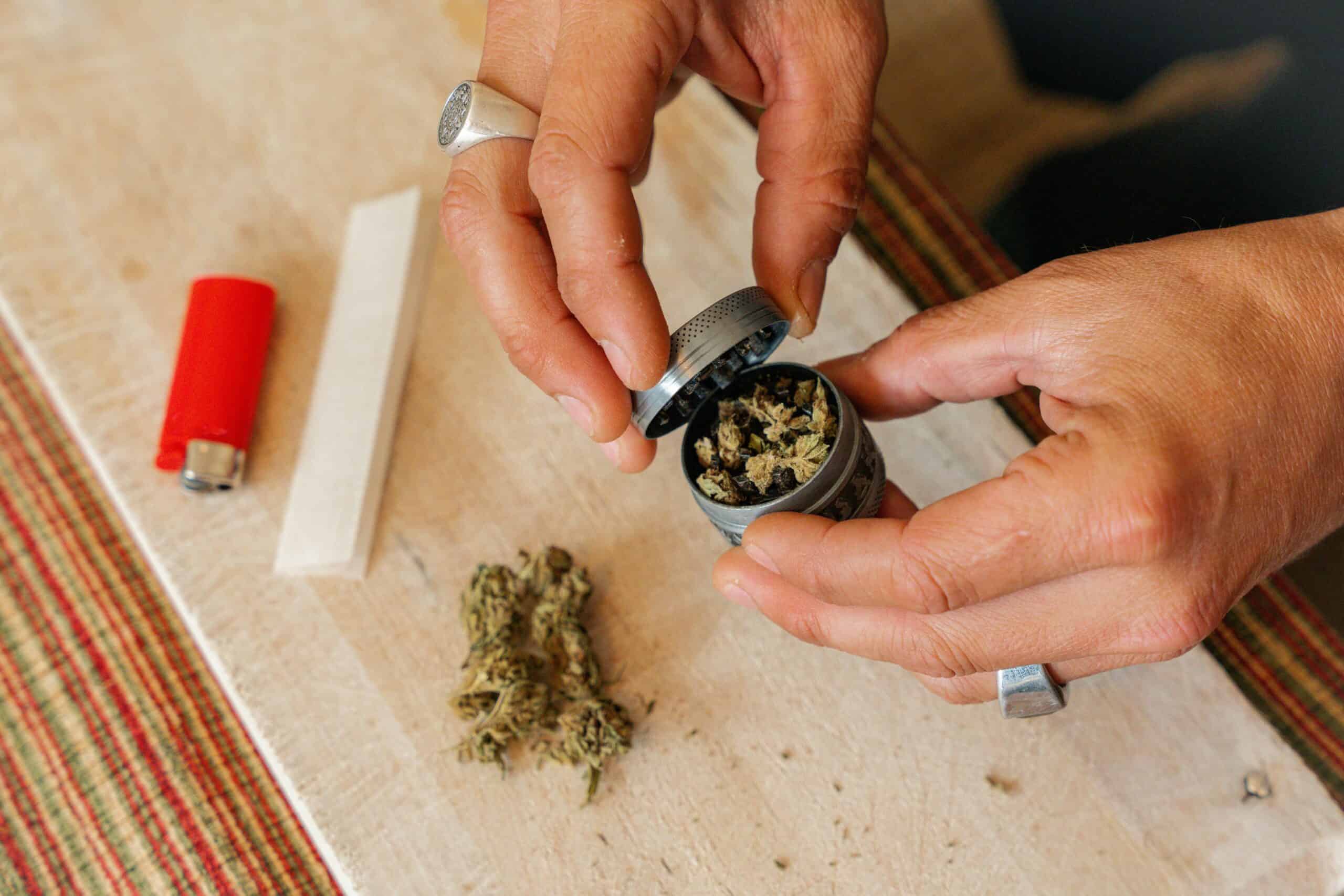 Discover the Best Sativa Strains