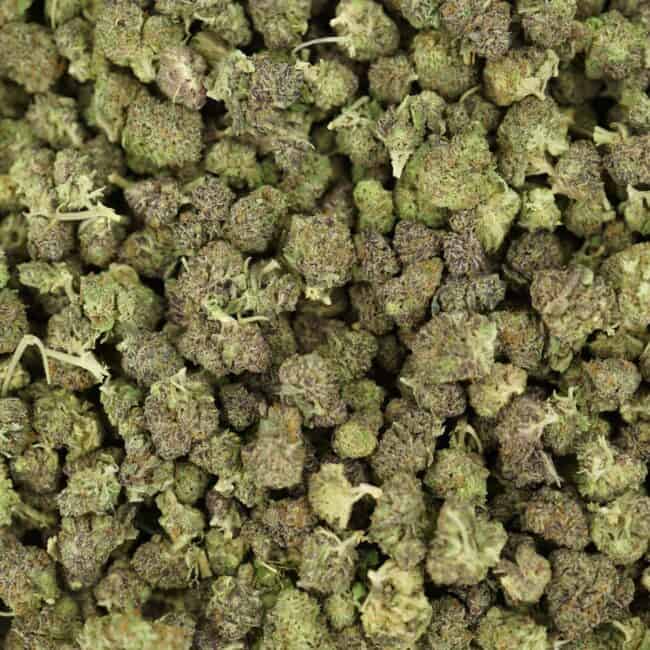 pp GODS GREEN CRACK SMALLS FULL