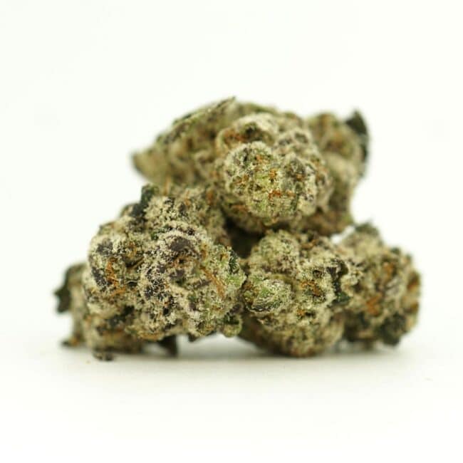 pp animal sherbert smalls principal
