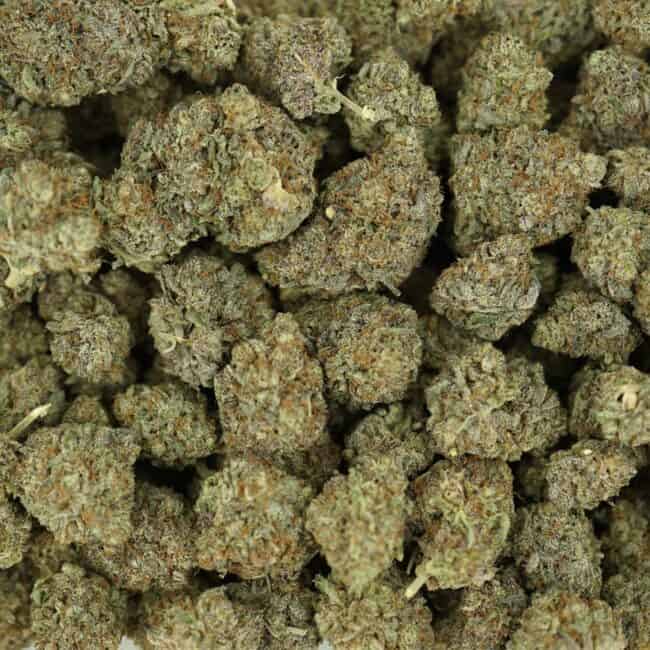pp grapefruit haze full