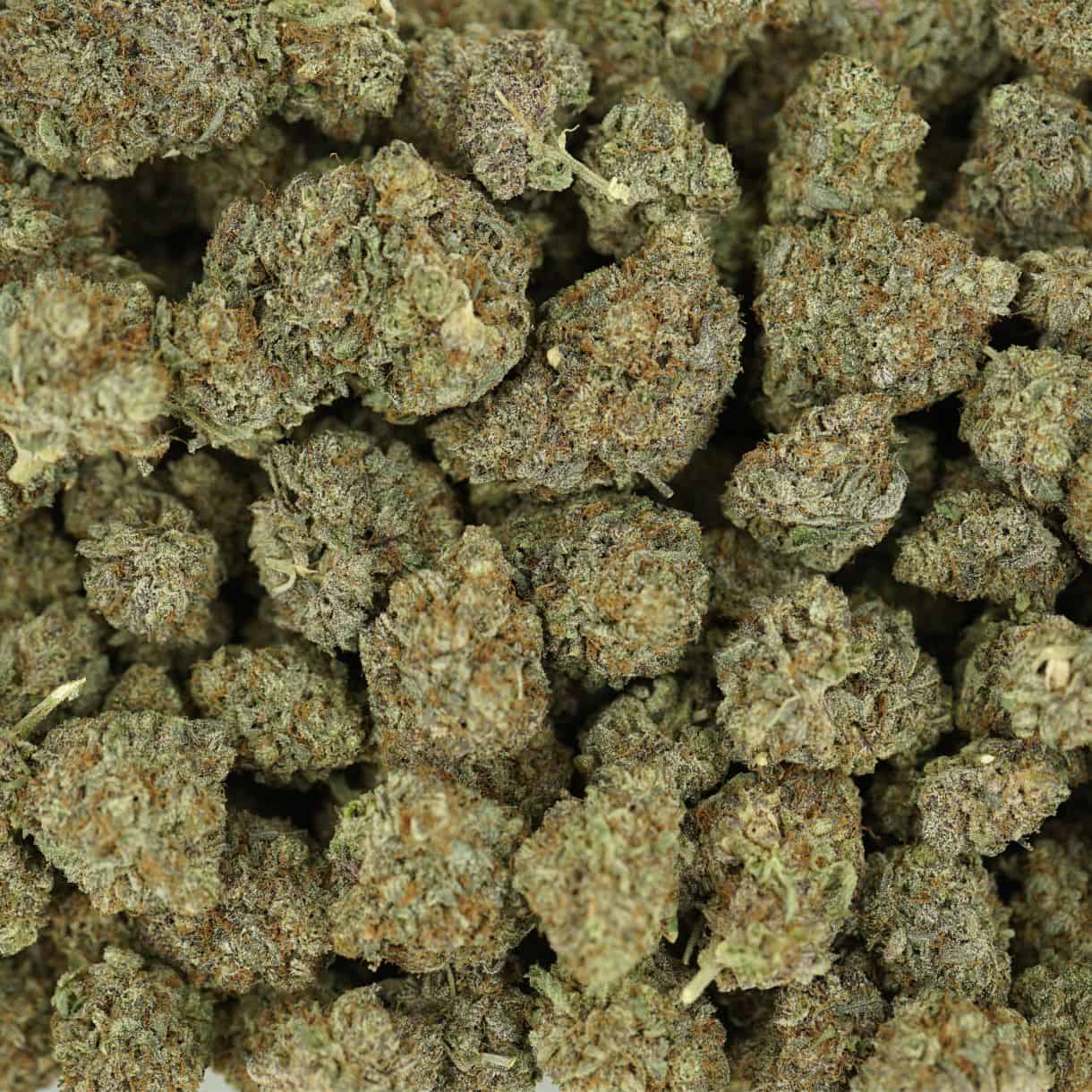top view of grapefruit haze cannabis buds with dense structure, frosty trichomes, and light green coloration